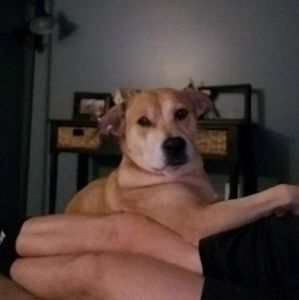 Meet your Posher, Lukasz